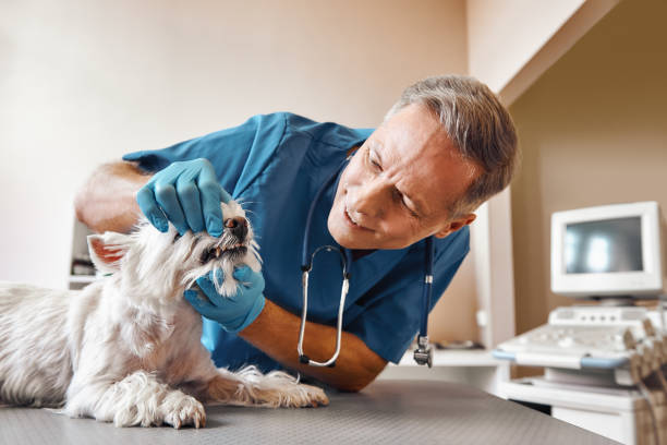 Best Weekend Emergency Dentist in Bushnell, FL